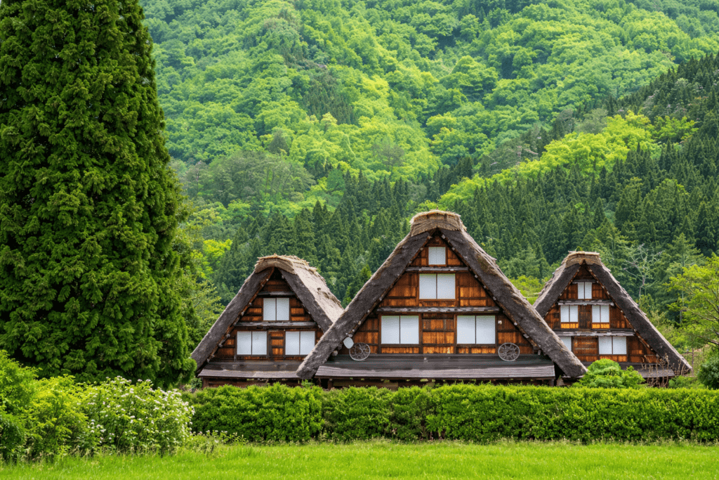 Traditional gassho-zukuri houses in Shirakawa-go
